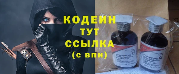 спиды Арсеньев