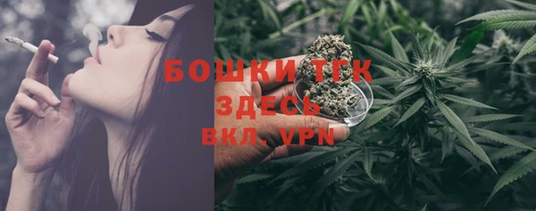 сатива Армянск