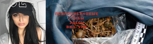 сатива Армянск