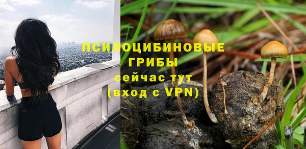 спиды Арсеньев