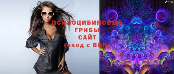 спиды Арсеньев