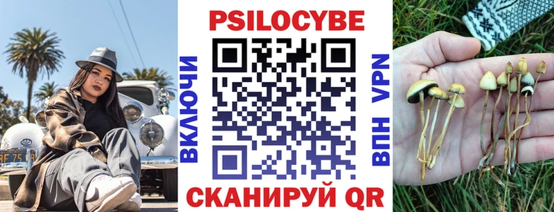 маркетплейс как зайти  наркошоп  Тутаев  Псилоцибиновые грибы GOLDEN TEACHER  omg ссылки 